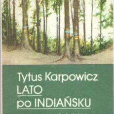 Lato po indiańsku. Powieść dla młodzieży. 