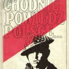 Przechodniu, powiedz Polsce...Wspomnienia z lat 1941-1945 rozpoczęte w Ahwazie, 150 km od Zatoki Perskiej.