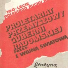 Proletariat przemysłowy guberni radomskiej przed I wojną światową