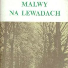 Malwy na lewadach.