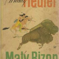 Mały Bizon