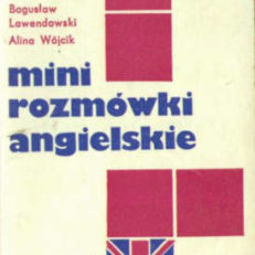 Mini-rozmówki angielskie