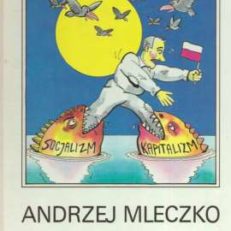 Z deszczu pod rynnę