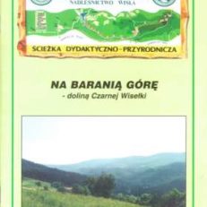 NA Baranią Górę - doliną Czarnej Wisełki.
