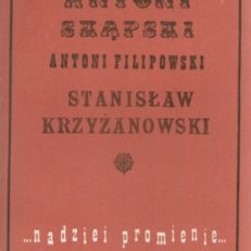 Nadziei promienie. Trzy pamiętniki z XIX wieku.