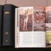 NATIONAL Geographic. Official Journal of the National Geographic Society. Miesce wydania: Washington. - obrazek 3