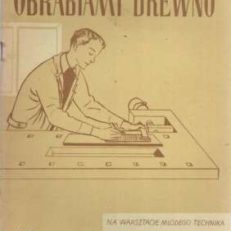 Obrabiamy drewno. Na warsztacie młodego technika