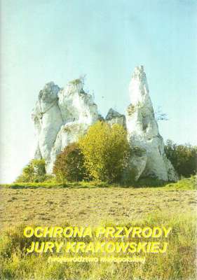 OCHRONA przyrody Jury Krakowskiej (województwo małopolskie).