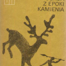 Osada z epoki kamienia