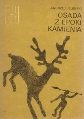 Osada z epoki kamienia