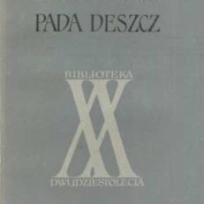 Pada deszcz.