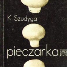 Pieczarka