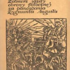 Żołnierz jazdy obrony potocznej za czasów Zygmunta Augusta. Studia nad zawodem wojskowym w XVI w.