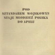 Pod sztandarem wojskowym staje młodzież polska do apelu