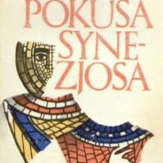 Pokusa Synezjosa