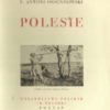 Polesie - obrazek 2