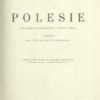 Polesie. Opis wojskowo-geograficzny i studium terenu z przedmową Henryka Bagińskiego. Rysunki wykonała Halina Dybczyńska-Niezbrzycka. Wykresy i mapki Olgierd Hryniewiecki.