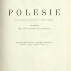Polesie. Opis wojskowo-geograficzny i studium terenu z przedmową Henryka Bagińskiego. Rysunki wykonała Halina Dybczyńska-Niezbrzycka. Wykresy i mapki Olgierd Hryniewiecki.