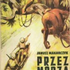 Przez morza i dżungle. Powieść dla dorastającej młodzieży.