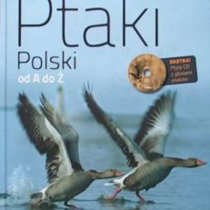 Ptaki Polski od A do Ż