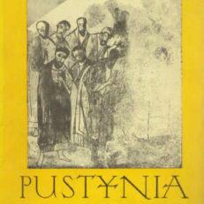 Pustynia