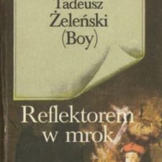 Reflektorem w mrok. Wybór publicystyki.