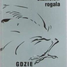 Gdzie jest Siwobrody? Opowiadania.