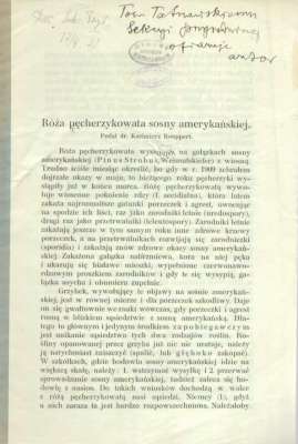 Róża pęcherzykowata sosny amerykańskiej