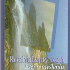 Rozhukany koń. Esej o myśleniu Juliusza Słowackiego