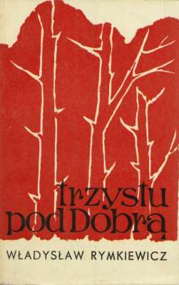 Trzystu pod Dobrą. Powieść historyczna z roku 1863