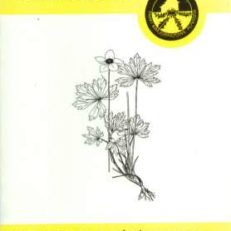 Geologiczno-botaniczna ścieżka dydaktyczna w rezerwacie Skorocice.