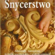 Snycerstwo