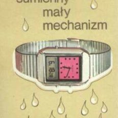 Sumienny mały mechanizm