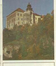 SZLAK Orlich Gniazd