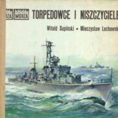 Torpedowce i niszczyciele.