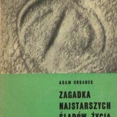 Zagadka najstarszych śladów życia na Ziemi