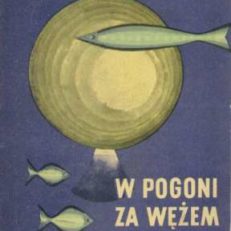 W pogoni za wężem morskim. Opowiadania fantastyczne.