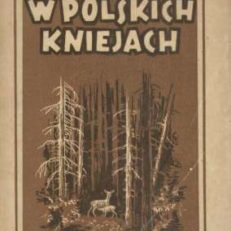 W polskich kniejach.