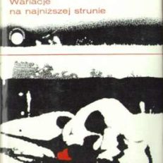 Wariacje na najniższej strunie.