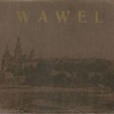 ALBUM Wawelu. Cykl artystycznych plansz