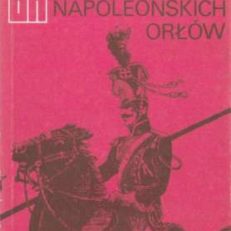 W blasku napoleońskich orłów