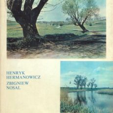 W dorzeczu Nidy