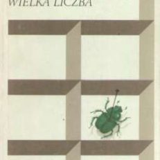 Wielka liczba