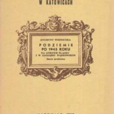 Podziemie po 1945 roku na Górnym Śląsku i w Zagłębiu Dąbrowskim. Zarys problemu