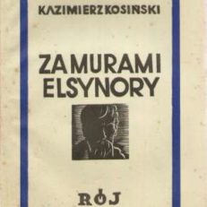 Za murami Elsynory (Studja o Wyspiańskim)