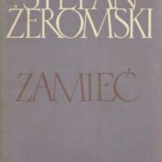 Zamieć. Powieść.