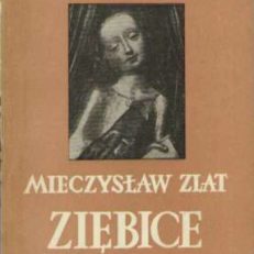 Ziębice.
