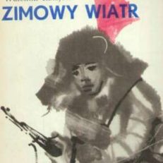 Zimowy wiatr
