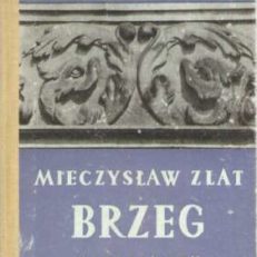 Brzeg
