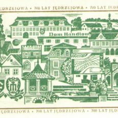 WIZJA Jędrzejowa